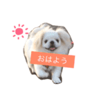 あびたんスタンプ（個別スタンプ：8）