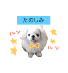 あびたんスタンプ（個別スタンプ：15）