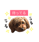 あびたんスタンプ（個別スタンプ：17）