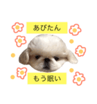 あびたんスタンプ（個別スタンプ：22）