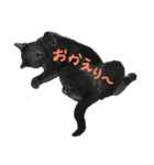 はんくんの日常（個別スタンプ：1）