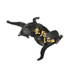 はんくんの日常（個別スタンプ：6）