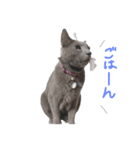 はんくんの日常（個別スタンプ：7）