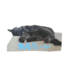 はんくんの日常（個別スタンプ：8）