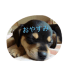 meichan love（個別スタンプ：7）