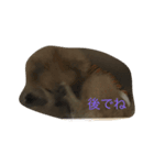 愛犬のスタンプです（個別スタンプ：3）