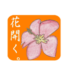 ハワイのアロハちゃん（個別スタンプ：21）