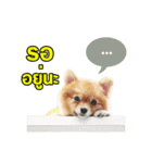 kiemeepompom（個別スタンプ：1）
