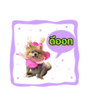 kiemeepompom（個別スタンプ：3）