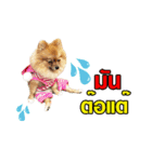 kiemeepompom（個別スタンプ：4）