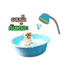 kiemeepompom（個別スタンプ：5）