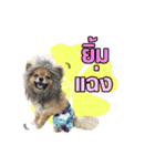 kiemeepompom（個別スタンプ：9）