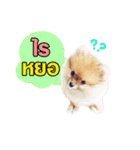kiemeepompom（個別スタンプ：11）