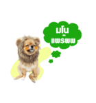 kiemeepompom（個別スタンプ：13）