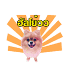 kiemeepompom（個別スタンプ：14）