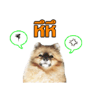kiemeepompom（個別スタンプ：16）