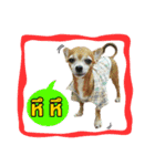 B.G. ＆ The Gang（個別スタンプ：5）