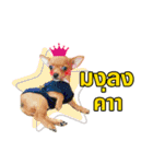 B.G. ＆ The Gang（個別スタンプ：12）
