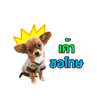 B.G. ＆ The Gang（個別スタンプ：13）