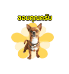 B.G. ＆ The Gang（個別スタンプ：21）