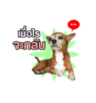 B.G. ＆ The Gang（個別スタンプ：24）