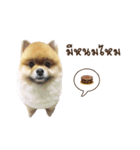 MahDtuaNoi（個別スタンプ：1）