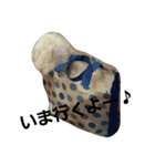 chiikamachan（個別スタンプ：9）