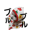 chiikamachan（個別スタンプ：12）