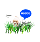 JustSayNo（個別スタンプ：3）