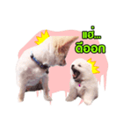 JustSayNo（個別スタンプ：4）