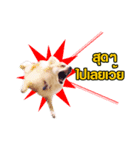 JustSayNo（個別スタンプ：5）