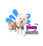JustSayNo（個別スタンプ：6）
