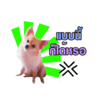 JustSayNo（個別スタンプ：7）