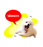 JustSayNo（個別スタンプ：8）