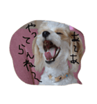 ジルとフィオの北埼玉弁（個別スタンプ：3）