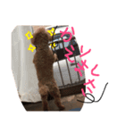 るいのわんこ（個別スタンプ：11）