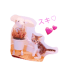 まろんたん（個別スタンプ：5）