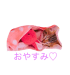 まろんたん（個別スタンプ：8）