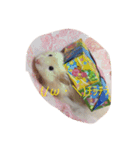 喋るハムスターw（個別スタンプ：6）