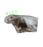 natsu＆ruru2（個別スタンプ：8）