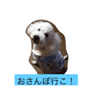 chakun（個別スタンプ：2）