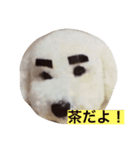 chakun（個別スタンプ：6）