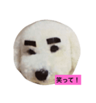 chakun（個別スタンプ：7）