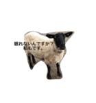 動物リアクション芸（個別スタンプ：4）