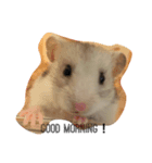 動物リアクション芸（個別スタンプ：6）