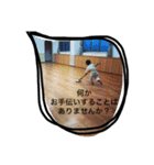 きょうくん日常スタンプ（個別スタンプ：4）