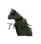 うちの猫スタンプ新（個別スタンプ：12）