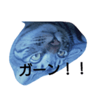 tora-mame（個別スタンプ：6）