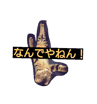 tora-mame（個別スタンプ：7）