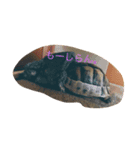 reptile（個別スタンプ：5）